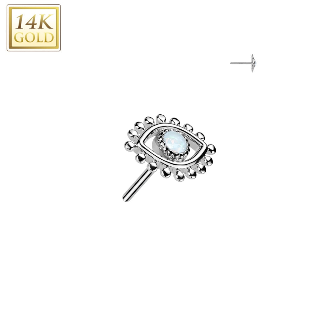 14k Eye