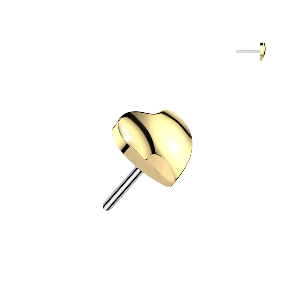 3D Heart